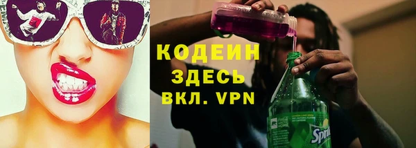 гидра Каменногорск