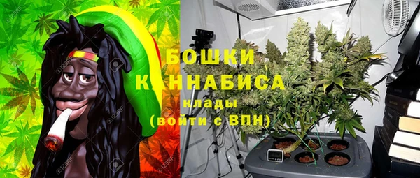 гидра Каменногорск