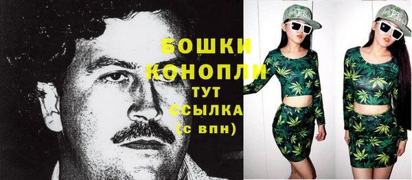 стафф Майский