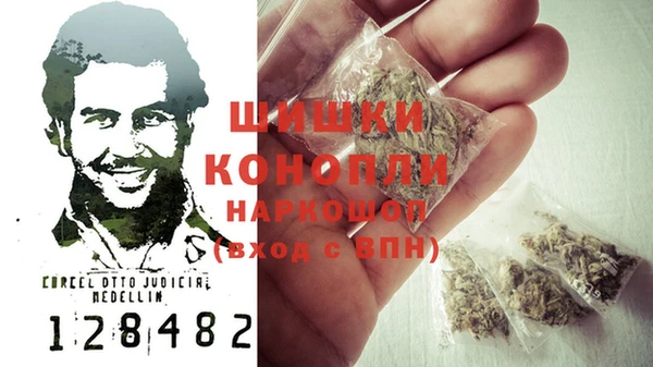 сатива Киреевск