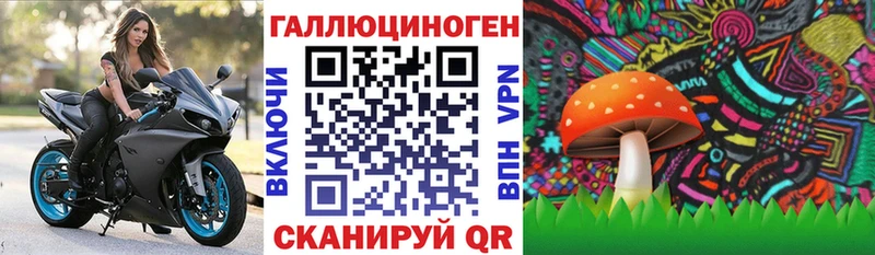 Псилоцибиновые грибы Psilocybe  kraken tor  Кондрово 